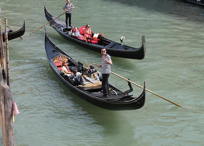 דירה Doge's House